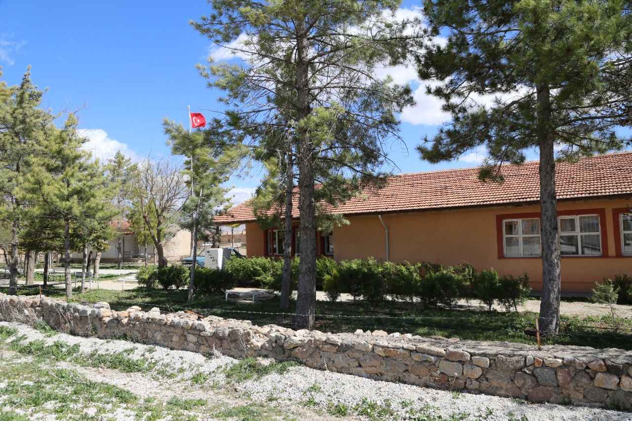 Mesudiye köy okulu — Türk bayrağı ve çam ağaçları